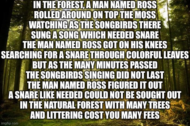 Here’s an abstract poem (Dont judge I’m trying my best) | IN THE FOREST, A MAN NAMED ROSS
ROLLED AROUND ON TOP THE MOSS
WATCHING AS THE SONGBIRDS THERE
SUNG A SONG WHICH NEEDED SNARE
THE MAN NAMED ROSS GOT ON HIS KNEES
SEARCHING FOR A SNARE THROUGH COLORFUL LEAVES
BUT AS THE MANY MINUTES PASSED
THE SONGBIRDS SINGING DID NOT LAST
THE MAN NAMED ROSS FIGURED IT OUT
A SNARE LIKE NEEDED COULD NOT BE SOUGHT OUT
IN THE NATURAL FOREST WITH MANY TREES
AND LITTERING COST YOU MANY FEES | image tagged in sunlit forest | made w/ Imgflip meme maker