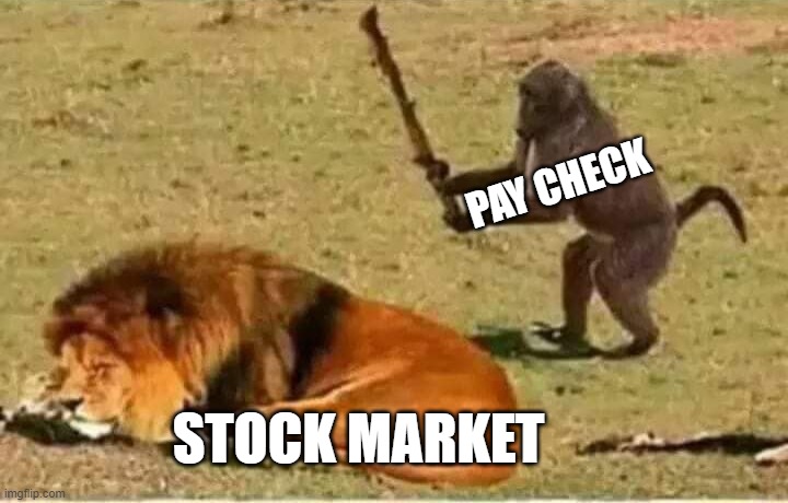 Every time I invest | PAY CHECK; STOCK MARKET | image tagged in bad decisions | made w/ Imgflip meme maker