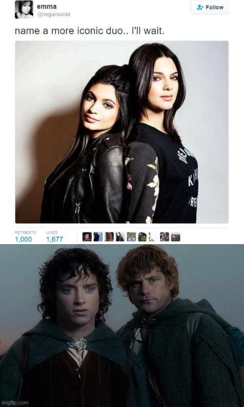 True, true | image tagged in name a more iconic duo,frodo,lord of the rings,lotr | made w/ Imgflip meme maker