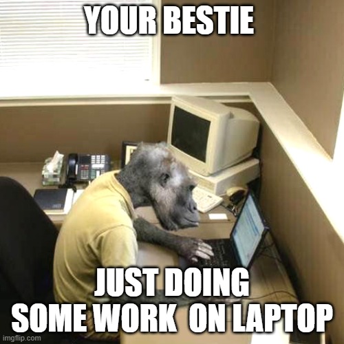 Monkey Business | YOUR BESTIE; JUST DOING SOME WORK  ON LAPTOP | image tagged in memes,monkey business | made w/ Imgflip meme maker