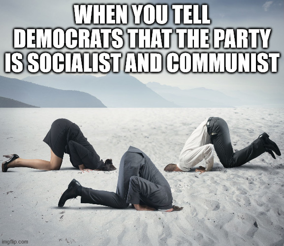 Republican Committee on Climate Change | WHEN YOU TELL DEMOCRATS THAT THE PARTY IS SOCIALIST AND COMMUNIST | image tagged in republican committee on climate change | made w/ Imgflip meme maker