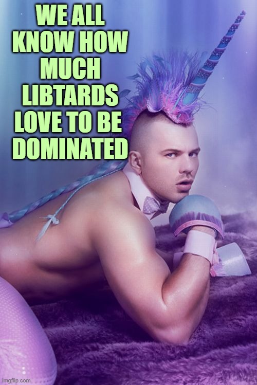 Sexy Unicorn man | WE ALL KNOW HOW MUCH LIBTARDS LOVE TO BE 
DOMINATED | image tagged in sexy unicorn man | made w/ Imgflip meme maker