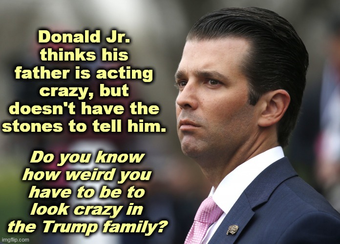 What do you call normal in Trumpworld? |  Donald Jr. thinks his father is acting crazy, but doesn't have the stones to tell him. Do you know how weird you have to be to look crazy in the Trump family? | image tagged in donald trump jr faces reality occasionally,trump,crazy,donald trump jr,coward | made w/ Imgflip meme maker