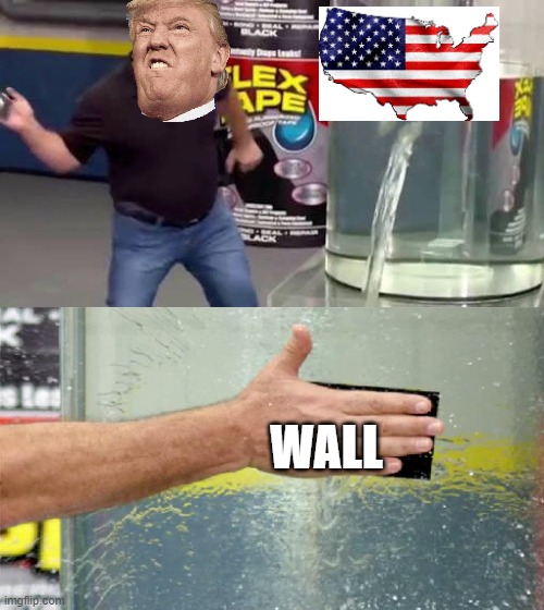 wall | WALL | image tagged in flex tape,donald trump,trump wall | made w/ Imgflip meme maker
