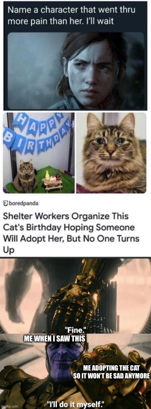 Time to adopt | ME WHEN I SAW THIS; ME ADOPTING THE CAT SO IT WON’T BE SAD ANYMORE | image tagged in memes,fine i'll do it myself | made w/ Imgflip meme maker