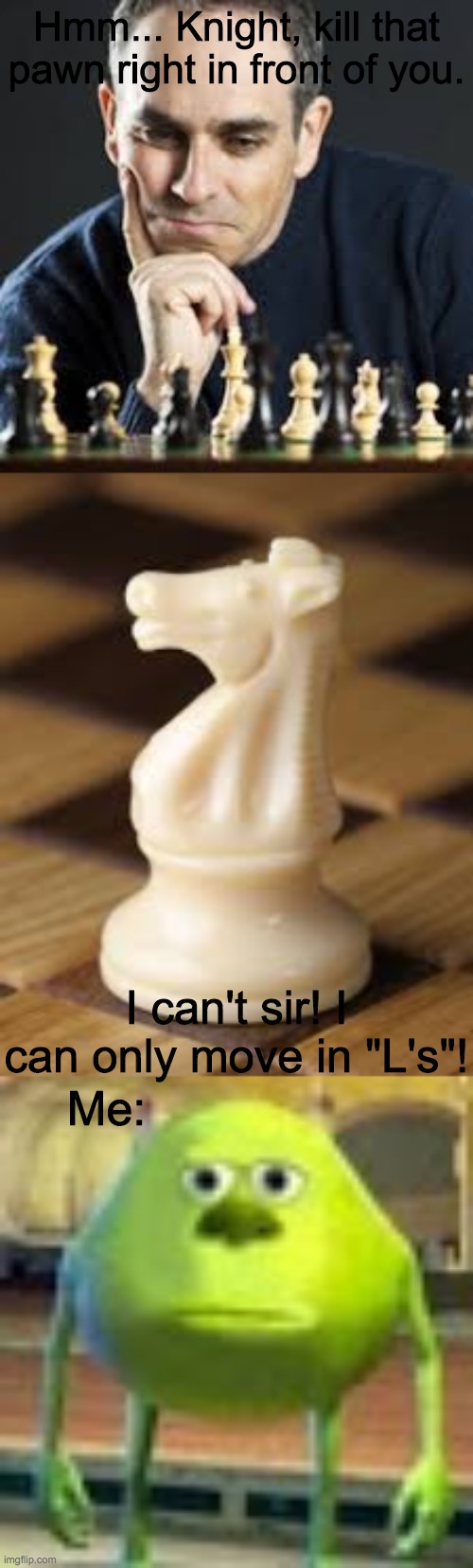 Sooooo annoying | Hmm... Knight, kill that pawn right in front of you. I can't sir! I can only move in "L's"! Me: | image tagged in sully wazowski | made w/ Imgflip meme maker