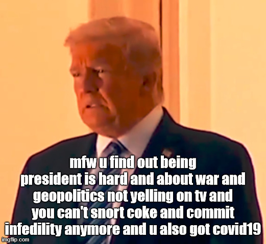 Sad Trump | mfw u find out being president is hard and about war and geopolitics not yelling on tv and you can't snort coke and commit infedility anymore and u also got covid19 | image tagged in trump,covid,positive test,covid19,covid 19,reaction | made w/ Imgflip meme maker