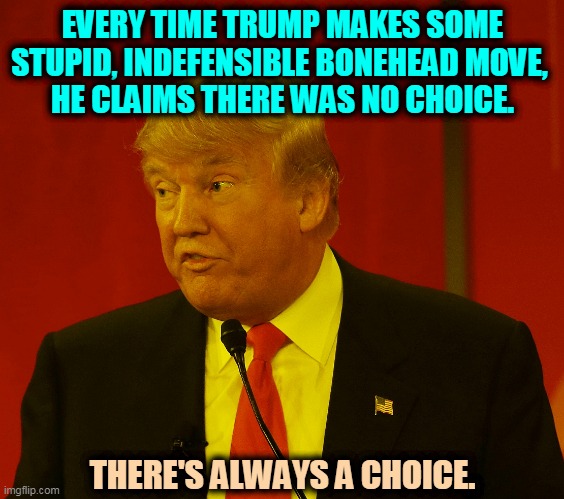 If he says "it has to be," it doesn't. Guaranteed. | EVERY TIME TRUMP MAKES SOME STUPID, INDEFENSIBLE BONEHEAD MOVE, 
HE CLAIMS THERE WAS NO CHOICE. THERE'S ALWAYS A CHOICE. | image tagged in trump goony stupid silly,trump,stupid,silly,disaster | made w/ Imgflip meme maker