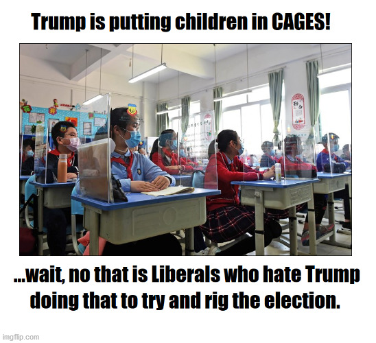 Trump Cages | image tagged in children,illegal immigration,covid19 | made w/ Imgflip meme maker