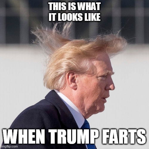 What It Looks Like When Trump Farts | THIS IS WHAT IT LOOKS LIKE; WHEN TRUMP FARTS | image tagged in what it looks like when trump farts | made w/ Imgflip meme maker