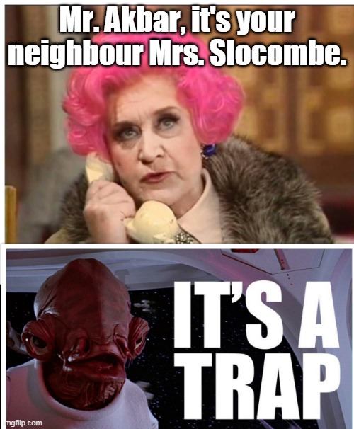 How's that for a crossover? | Mr. Akbar, it's your neighbour Mrs. Slocombe. | image tagged in star wars,memes | made w/ Imgflip meme maker