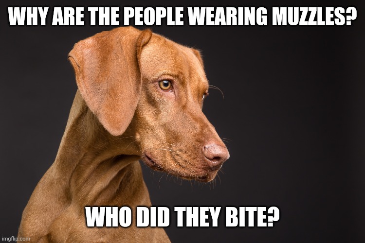 Muzzle people | WHY ARE THE PEOPLE WEARING MUZZLES? WHO DID THEY BITE? | image tagged in face mask,covid-19,dog | made w/ Imgflip meme maker