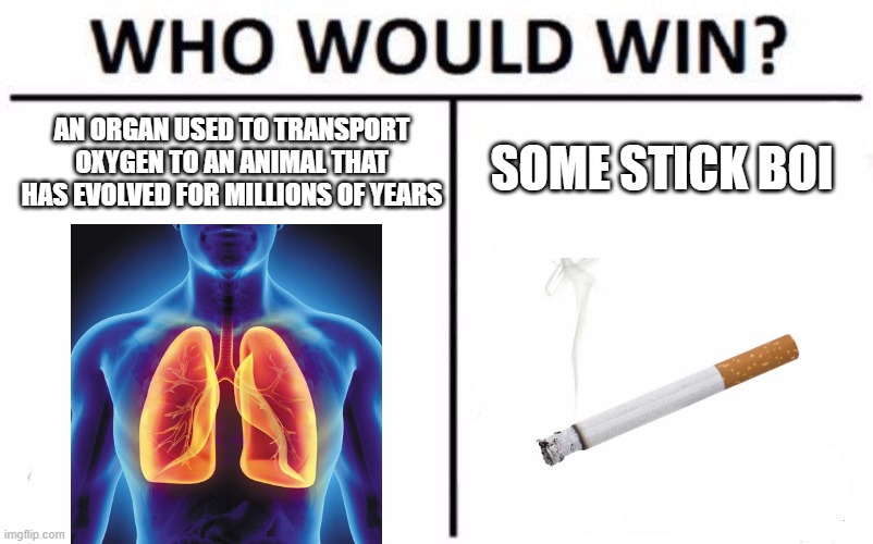 Who Would Win? | AN ORGAN USED TO TRANSPORT OXYGEN TO AN ANIMAL THAT HAS EVOLVED FOR MILLIONS OF YEARS; SOME STICK BOI | image tagged in memes,who would win | made w/ Imgflip meme maker