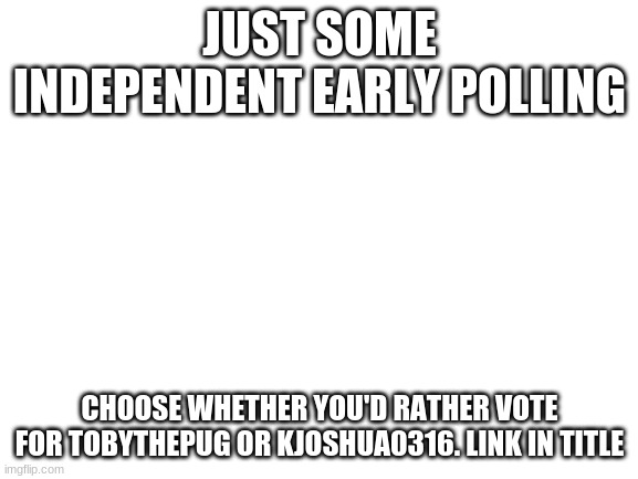 https://forms.gle/7iSQtCpicJYaHDZ59 | JUST SOME INDEPENDENT EARLY POLLING; CHOOSE WHETHER YOU'D RATHER VOTE FOR TOBYTHEPUG OR KJOSHUA0316. LINK IN TITLE | image tagged in blank white template | made w/ Imgflip meme maker
