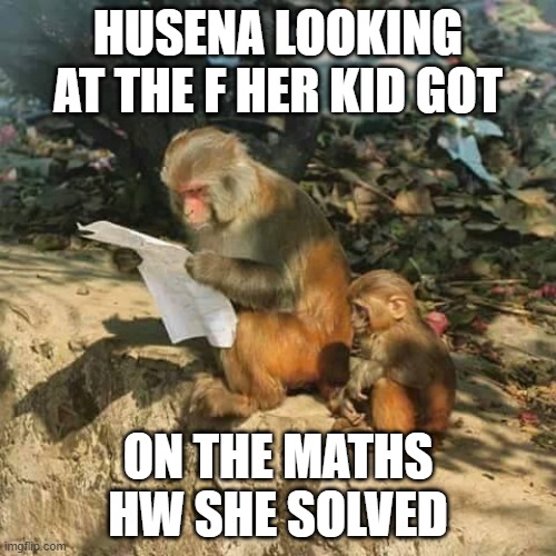 monkey reading a paper | HUSENA LOOKING AT THE F HER KID GOT; ON THE MATHS HW SHE SOLVED | image tagged in monkey reading a paper | made w/ Imgflip meme maker