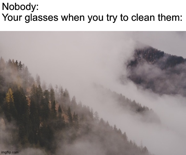 Everytime- |  Nobody:
Your glasses when you try to clean them: | image tagged in memes,funny,glasses,fog,dirty,forest | made w/ Imgflip meme maker