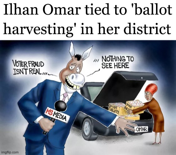 First she comes to the country illegally, now she's trying to turn it into the country she fled from through illegal methods. | image tagged in funny,memes,politics,comics/cartoons,liberal media,election fraud | made w/ Imgflip meme maker
