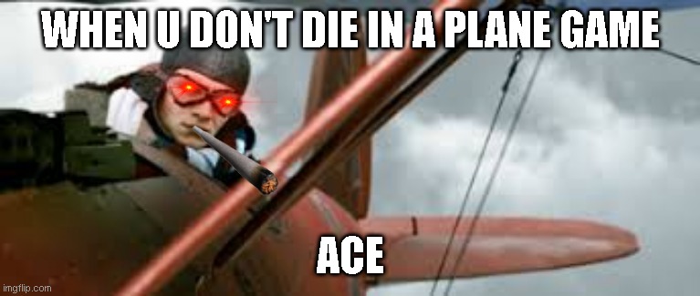 WHEN U DON'T DIE IN A PLANE GAME; ACE | image tagged in video games | made w/ Imgflip meme maker