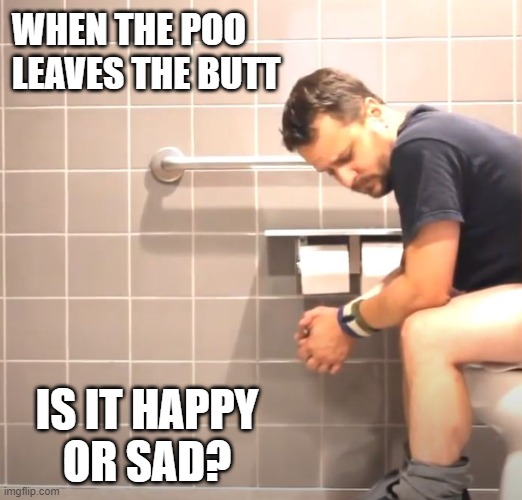Happy Poo? | WHEN THE POO LEAVES THE BUTT; IS IT HAPPY
OR SAD? | image tagged in poop,pooping,deep thoughts,toilet | made w/ Imgflip meme maker