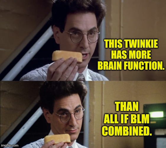 BLM Have No Brain | THIS TWINKIE HAS MORE BRAIN FUNCTION. THAN ALL IF BLM COMBINED. | image tagged in egon twinkie,egon spengler,blm,black lives matter,drstrangmeme | made w/ Imgflip meme maker