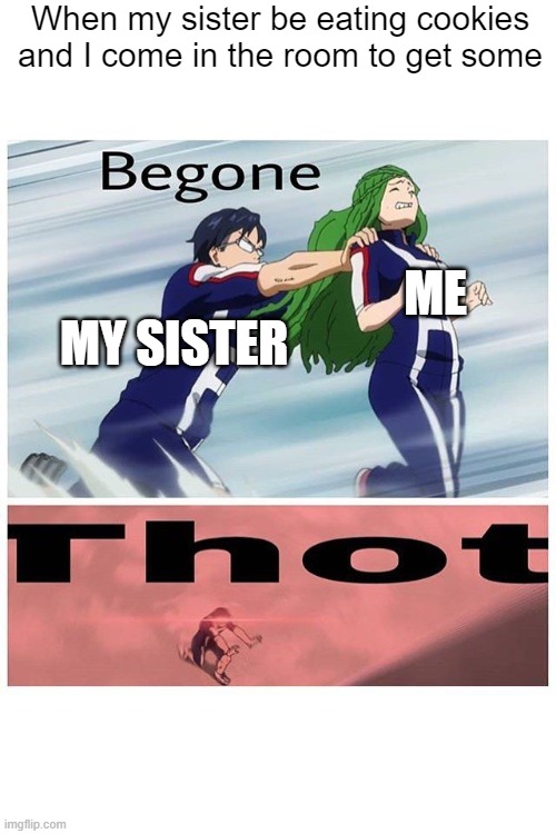 So I found this in the internet, and made it into a new template. | When my sister be eating cookies and I come in the room to get some; ME; MY SISTER | image tagged in iida be gone thot | made w/ Imgflip meme maker