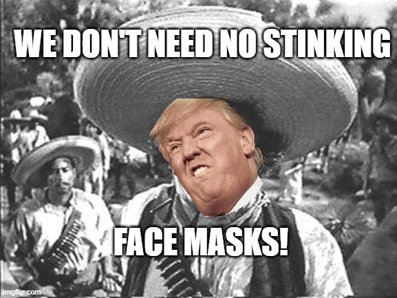 We don't need no stinking face masks! | WE DON'T NEED NO STINKING; FACE MASKS! | image tagged in we don't need no stinking | made w/ Imgflip meme maker