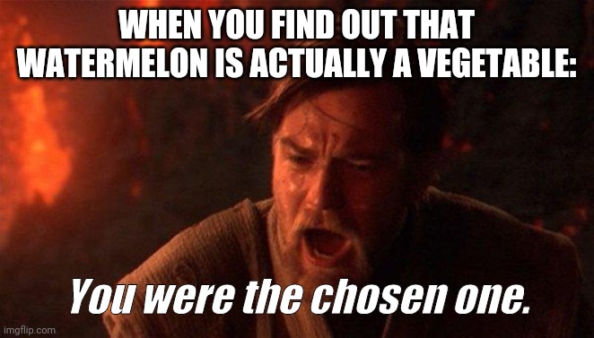You Were The Chosen One (Star Wars) | WHEN YOU FIND OUT THAT WATERMELON IS ACTUALLY A VEGETABLE:; You were the chosen one. | image tagged in memes,you were the chosen one star wars | made w/ Imgflip meme maker