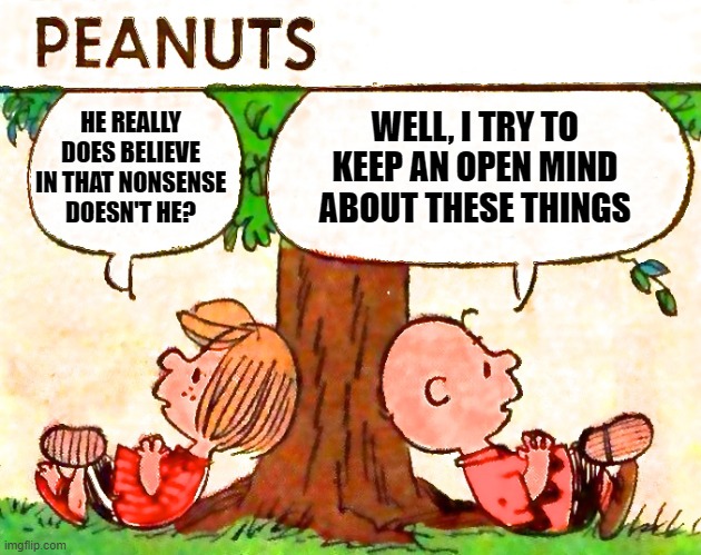 Peanuts Charlie Brown Peppermint Patty | HE REALLY DOES BELIEVE IN THAT NONSENSE DOESN'T HE? WELL, I TRY TO KEEP AN OPEN MIND ABOUT THESE THINGS | image tagged in peanuts charlie brown peppermint patty | made w/ Imgflip meme maker