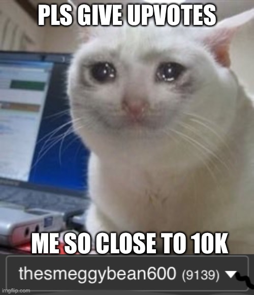 PLS GIVE UPVOTES; ME SO CLOSE TO 10K | image tagged in sad cat tears | made w/ Imgflip meme maker