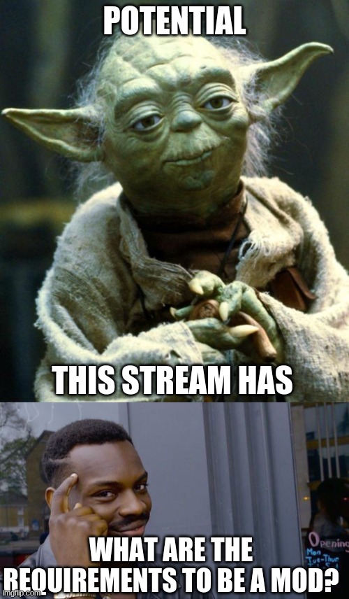 I honestly think this will be successful | POTENTIAL; THIS STREAM HAS; WHAT ARE THE REQUIREMENTS TO BE A MOD? | image tagged in memes,star wars yoda,roll safe think about it | made w/ Imgflip meme maker