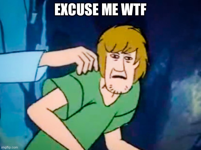 Shaggy meme | EXCUSE ME WTF | image tagged in shaggy meme | made w/ Imgflip meme maker