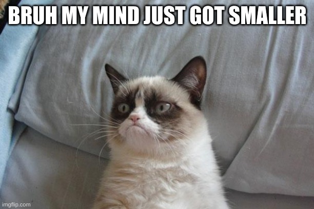Grumpy Cat Bed Meme | BRUH MY MIND JUST GOT SMALLER | image tagged in memes,grumpy cat bed,grumpy cat | made w/ Imgflip meme maker