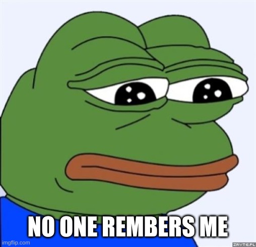 sad frog | NO ONE REMBERS ME | image tagged in sad frog | made w/ Imgflip meme maker