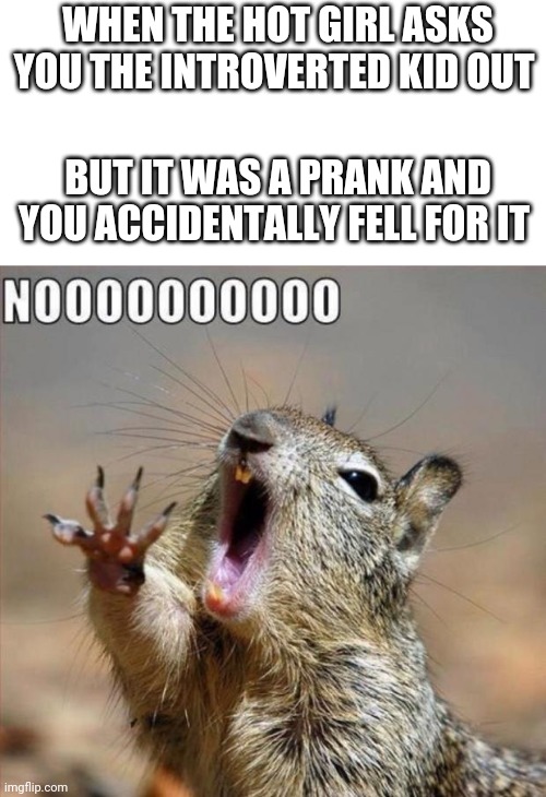 noooooooooooooooooooooooo | WHEN THE HOT GIRL ASKS YOU THE INTROVERTED KID OUT; BUT IT WAS A PRANK AND YOU ACCIDENTALLY FELL FOR IT | image tagged in noooooooooooooooooooooooo | made w/ Imgflip meme maker