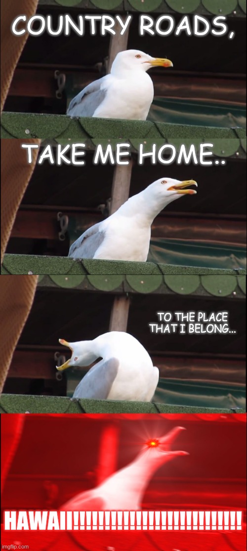 Lol, you cant skip this | COUNTRY ROADS, TAKE ME HOME.. TO THE PLACE THAT I BELONG... HAWAII!!!!!!!!!!!!!!!!!!!!!!!!!!! | image tagged in memes,inhaling seagull | made w/ Imgflip meme maker