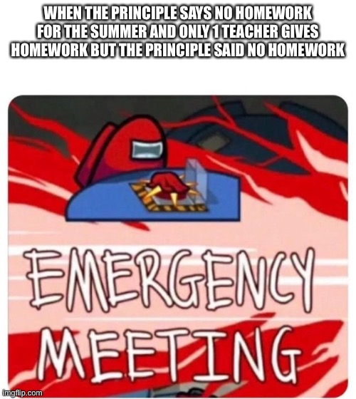 I want a no homework summer | WHEN THE PRINCIPLE SAYS NO HOMEWORK FOR THE SUMMER AND ONLY 1 TEACHER GIVES HOMEWORK BUT THE PRINCIPLE SAID NO HOMEWORK | image tagged in emergency meeting among us | made w/ Imgflip meme maker