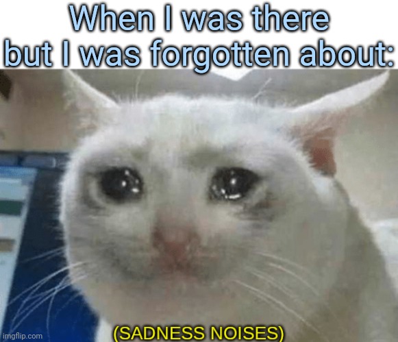 sadness noises | When I was there but I was forgotten about: | image tagged in sadness noises | made w/ Imgflip meme maker