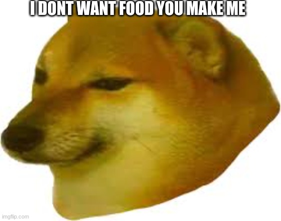 cheems | I DONT WANT FOOD YOU MAKE ME | image tagged in funny memes | made w/ Imgflip meme maker