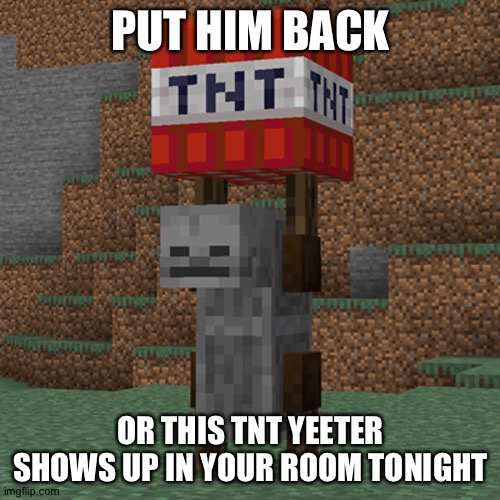 Tnt yeeter | PUT HIM BACK OR THIS TNT YEETER SHOWS UP IN YOUR ROOM TONIGHT | image tagged in tnt yeeter | made w/ Imgflip meme maker