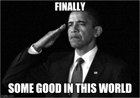 obama-salute | FINALLY SOME GOOD IN THIS WORLD | image tagged in obama-salute | made w/ Imgflip meme maker