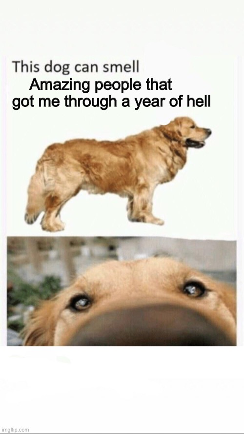 this dog can smell | Amazing people that got me through a year of hell | image tagged in this dog can smell | made w/ Imgflip meme maker