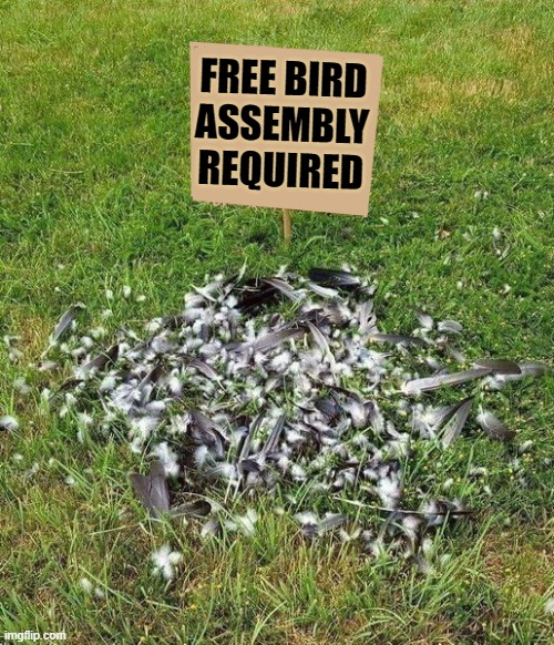 assembly required | FREE BIRD ASSEMBLY REQUIRED | image tagged in free bird,jokes | made w/ Imgflip meme maker