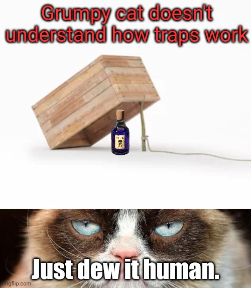 Grumpy cat is trying to get me! | Grumpy cat doesn't understand how traps work; Just dew it human. | image tagged in memes,grumpy cat not amused,trap,poison,grumpy cat | made w/ Imgflip meme maker