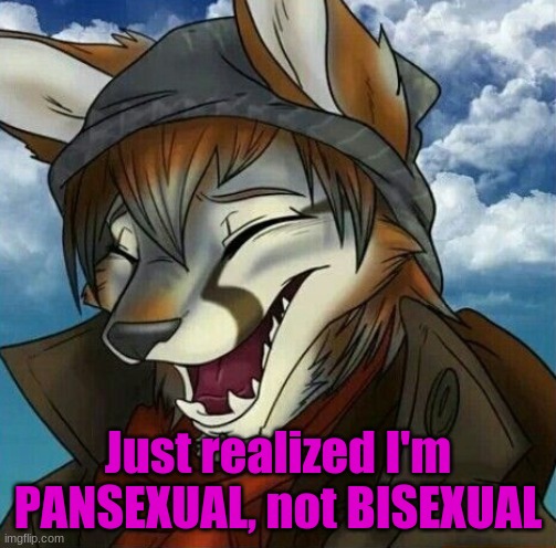 XD It took me months to figure this out | Just realized I'm PANSEXUAL, not BISEXUAL | made w/ Imgflip meme maker