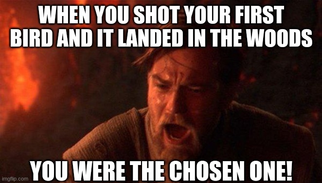 Bird Hunting be like | WHEN YOU SHOT YOUR FIRST BIRD AND IT LANDED IN THE WOODS; YOU WERE THE CHOSEN ONE! | image tagged in memes,you were the chosen one star wars,birds | made w/ Imgflip meme maker