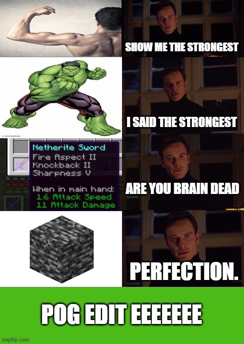 can u tell me what is the actual strongest thing to exist -_- | SHOW ME THE STRONGEST; I SAID THE STRONGEST; ARE YOU BRAIN DEAD; PERFECTION. POG EDIT EEEEEEE | image tagged in dank memes,minekraft,perfecction | made w/ Imgflip meme maker