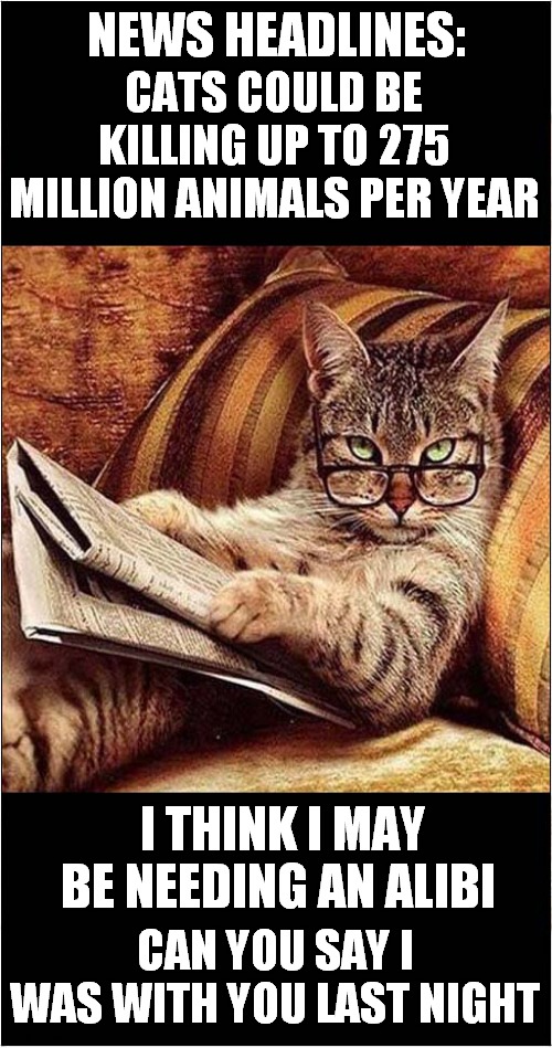 The Killer Cat In Your Home ! | NEWS HEADLINES:; CATS COULD BE KILLING UP TO 275 MILLION ANIMALS PER YEAR; I THINK I MAY BE NEEDING AN ALIBI; CAN YOU SAY I WAS WITH YOU LAST NIGHT | image tagged in newspapers,statistics,cats are awesome | made w/ Imgflip meme maker