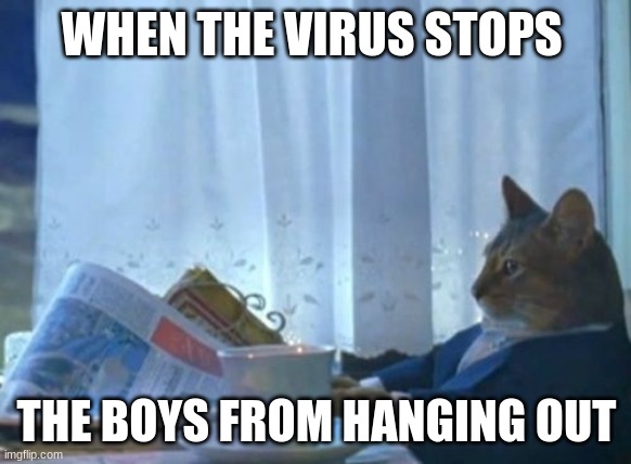 the boys | WHEN THE VIRUS STOPS; THE BOYS FROM HANGING OUT | image tagged in memes,i should buy a boat cat,me and the boys | made w/ Imgflip meme maker