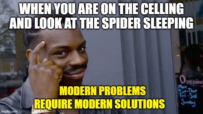 yes da veri tru | WHEN YOU ARE ON THE CELLING AND LOOK AT THE SPIDER SLEEPING; MODERN PROBLEMS; REQUIRE MODERN SOLUTIONS | image tagged in memes,roll safe think about it | made w/ Imgflip meme maker