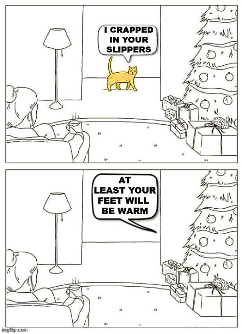 Bad kitty | I CRAPPED IN YOUR SLIPPERS; AT LEAST YOUR FEET WILL 
BE WARM | image tagged in cats | made w/ Imgflip meme maker
